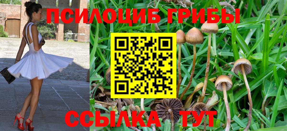 Псилоцибиновые грибы прущие грибы  Вход с VPN  Скопин 